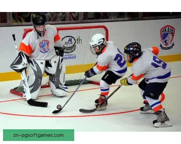 冰球初学者必知的基础知识分享