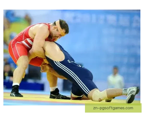 学习摔跤技巧，高清教学视频一网打尽