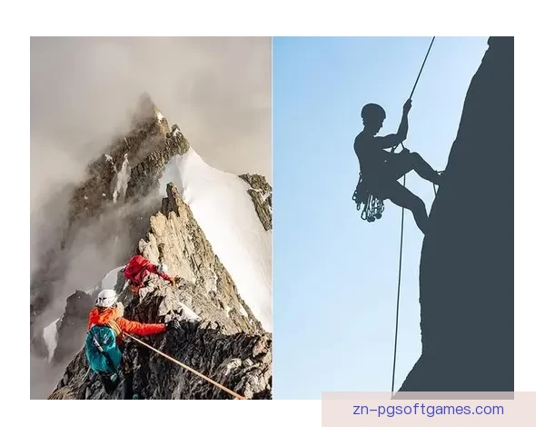 攀岩冠军：一路攀登，绝顶风光