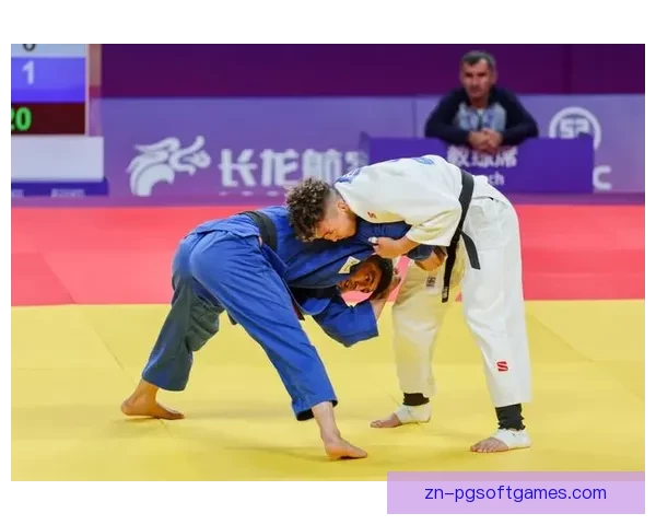 柔道冠军：探寻强者背后的故事