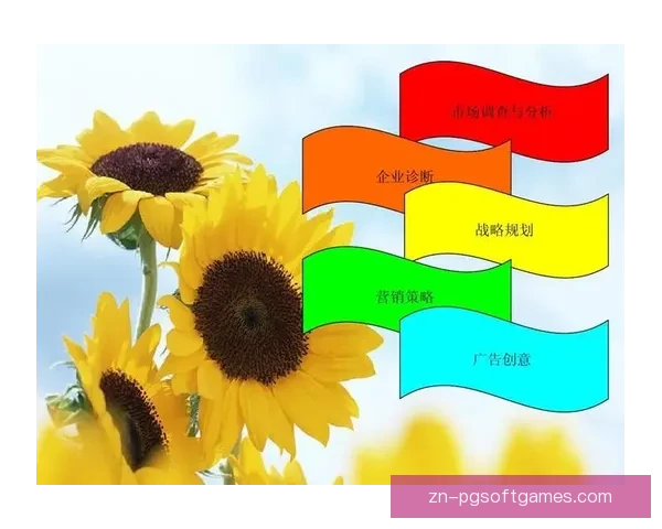 普拉提对战分析：优劣势对比及策略指导