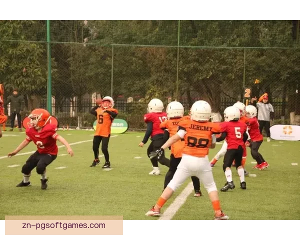 橄榄球规则解读：进攻和防守策略全方位解析