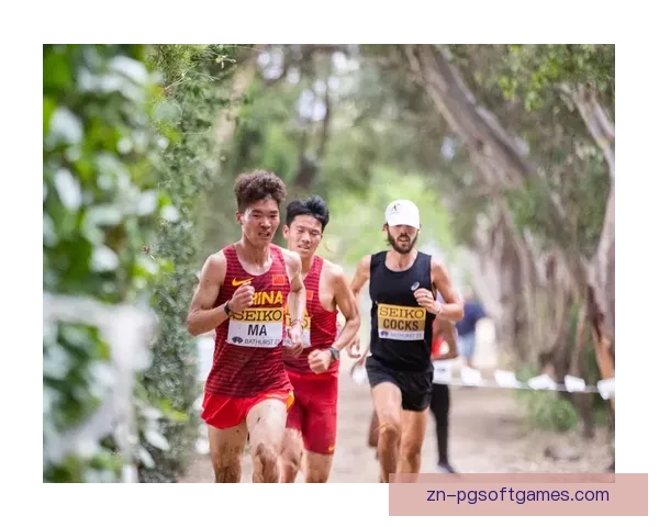 越野跑世界纪录：速度与极限的较量