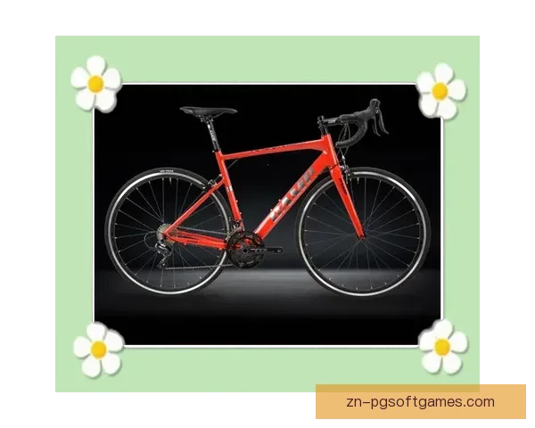 轻松学习骑行技巧，提升自行车技能