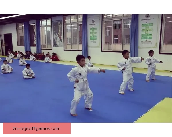 重温精彩瞬间：跆拳道赛事回放精选