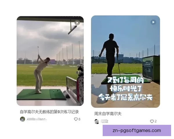 高尔夫训练全攻略：技巧、诀窍、科学训练法